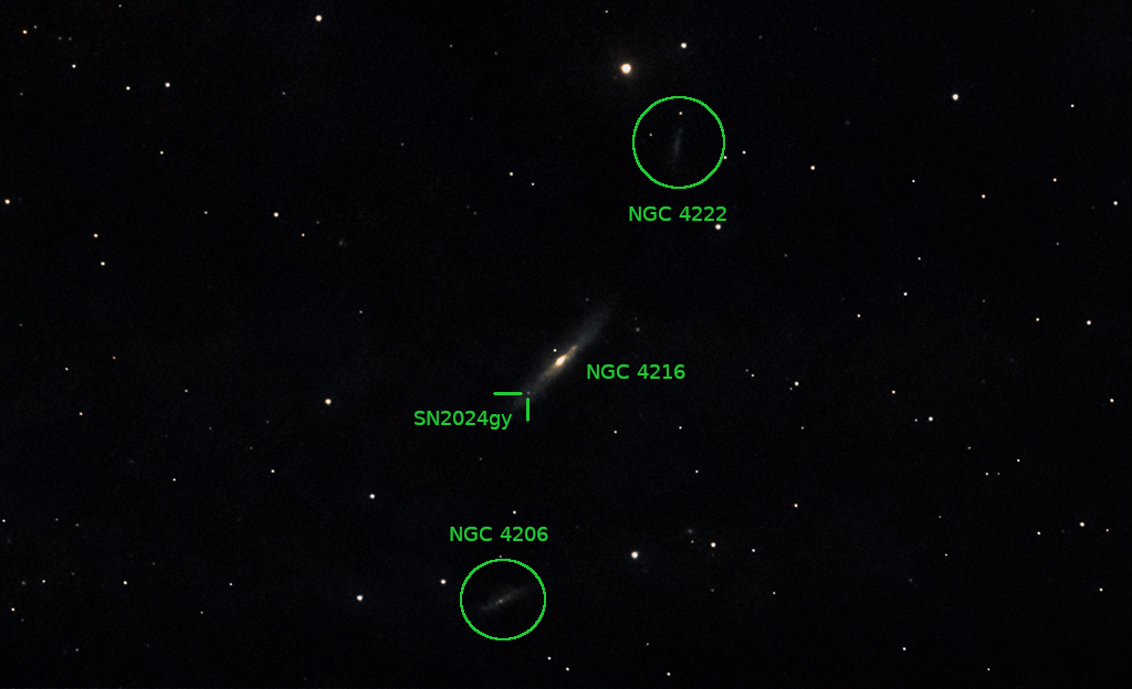 SENGC4216SN 15042024ANT