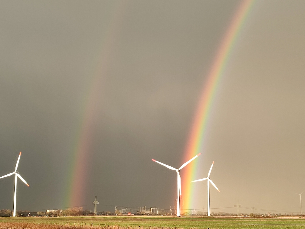 regenbogen24022024 1