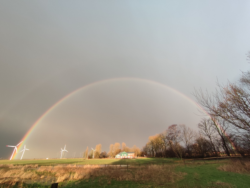 regenbogen24022024 5